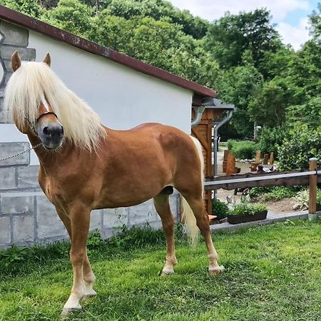 ヴェルニゲローデAuf Dem Reiterhofアパートメント エクステリア 写真